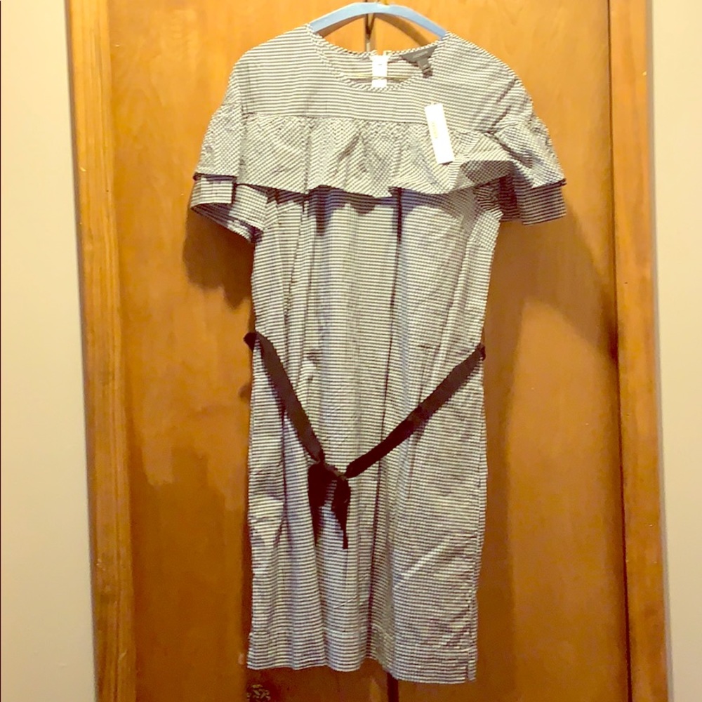 J.Crew Gingham Cotton Dress 10T